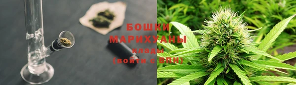 мдпв Данков