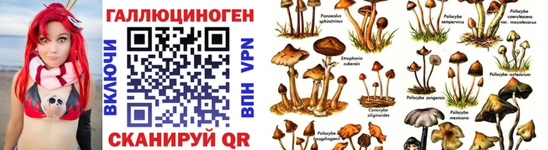 Галлюциногенные грибы Psilocybe  Алупка 